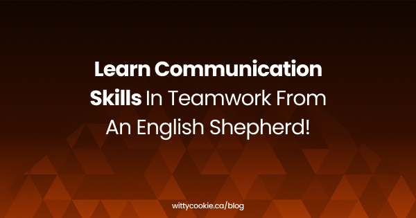 Learn Communication Skills in Teamwork from an English Shepherd