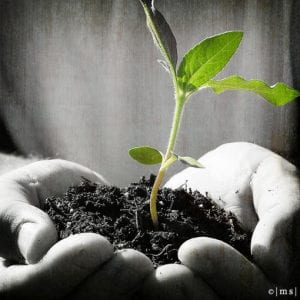 earth day