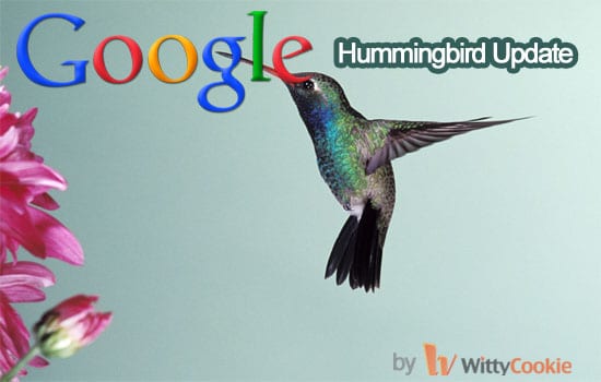 Facts about Google Hummingbird Update