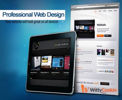 professional web design services