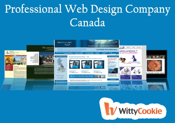 professional-web-design-company-canada