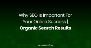 Why SEO Is Important For Your Online Success Organic Search Results