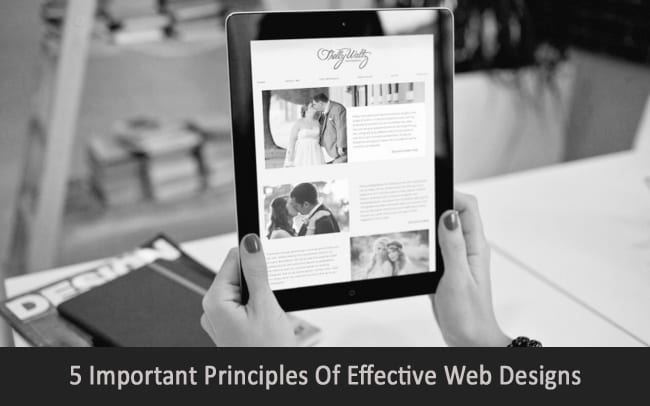 5-Important-Principles-Of-Effective-Web-Designs