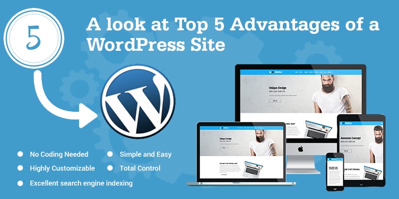 A look at Top-5-Advantages-of-a -WordPress-Site