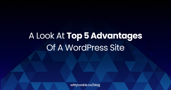 A look at Top 5 Advantages of a WordPress Site