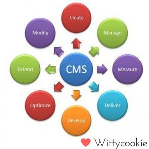 CMS-Web-design 