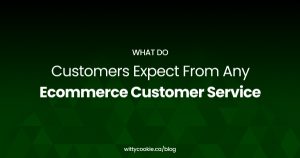 What Do Customers Expect From Any Ecommerce Customer Service