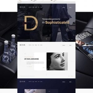 Diva Limousine2