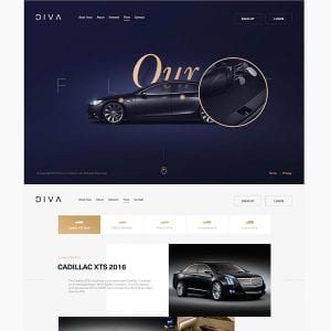 Diva Limousine5