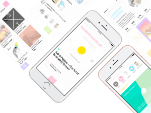 Dribbble Shot 2x