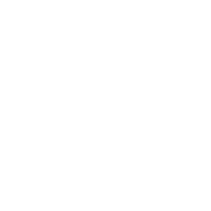 disruptivepublishers logo grey 1