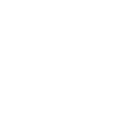 fitin30 logo grey 2