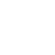 mercyships logo grey 1