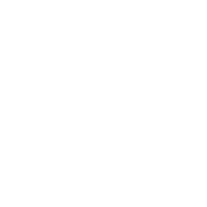 regency logo grey 1