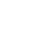 siena logo grey 1