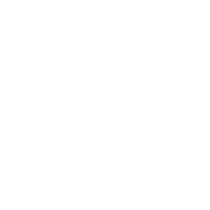 tedxsfu logo grey 1