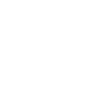 enauctus